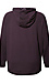 MPG Sport Hooded Sweatshirt Thumb 2