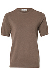 Short Sleeve Top