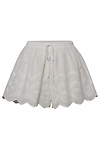 Embroidered Shorts