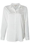 Button Down Shirt