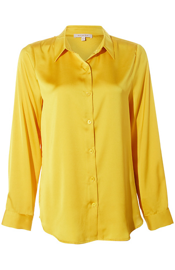 Button Down Shirt Slide 1