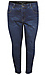 Tribal High Rise Ankle Denim Thumb 1