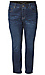 Tribal High Rise Straight Jean Thumb 1